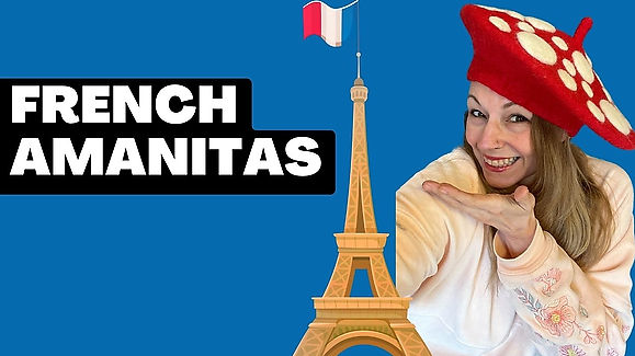French Amanitas!